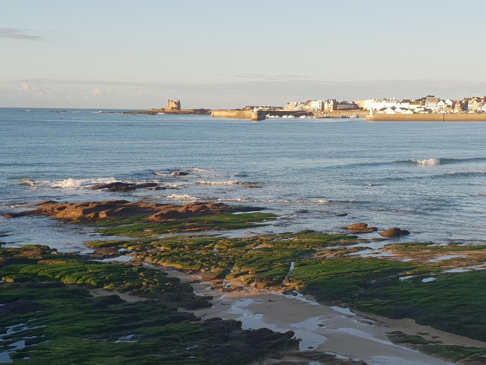 Appartement Cocon A Quiberon Dans Residence Calme, Plages Et Centre Ville A Pied Ou A Velo Pour 2 A 4 Personnes Екстер'єр фото