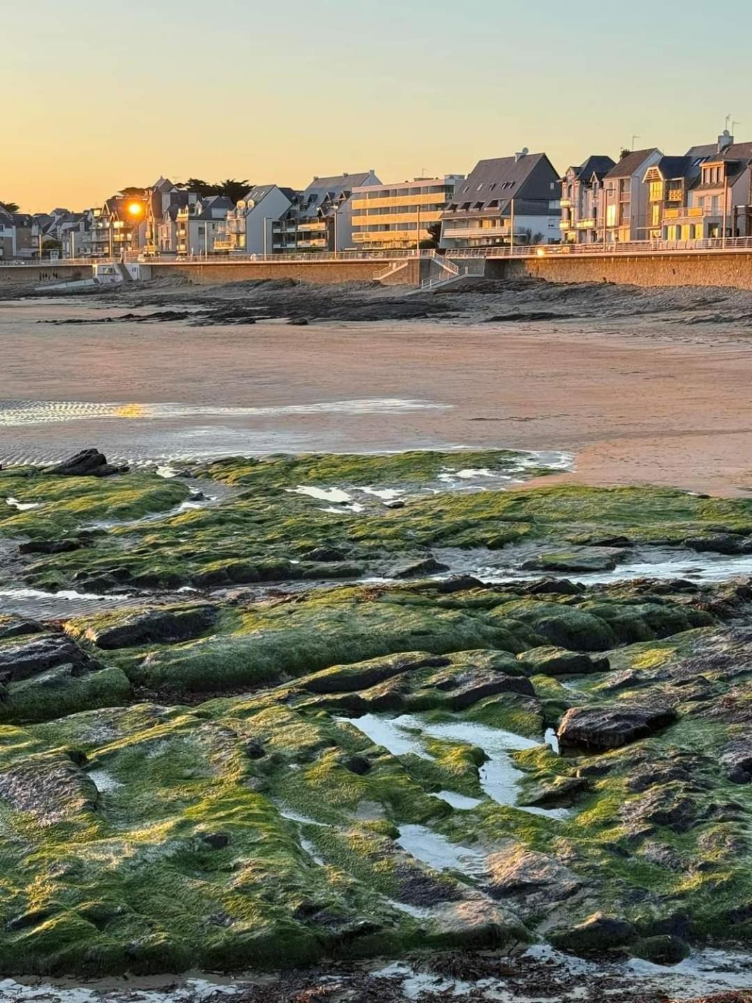 Appartement Cocon A Quiberon Dans Residence Calme, Plages Et Centre Ville A Pied Ou A Velo Pour 2 A 4 Personnes Екстер'єр фото